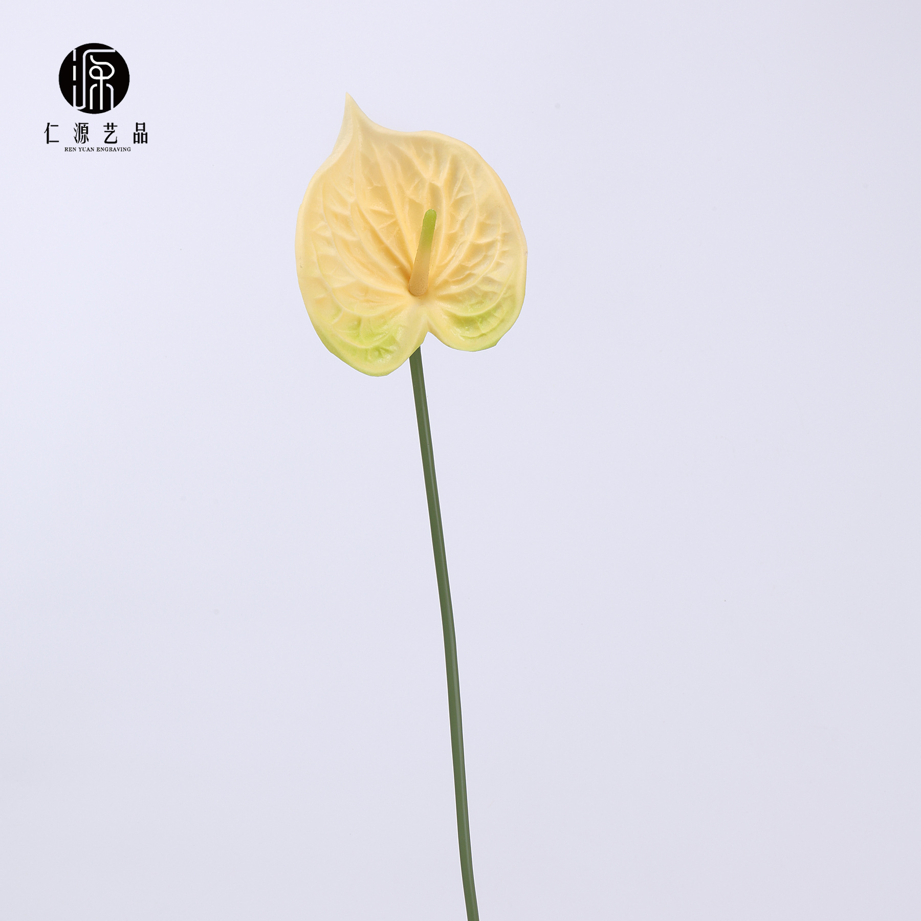 샴페인 컬러(신품)