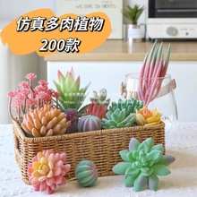 ����ֲ������ٻ�΢���^�쾰�Gֲ���҃ȼҾ��b�ƷС�[��
