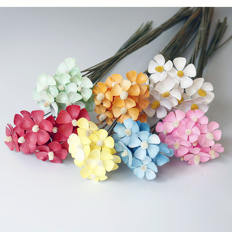 Oncidium Violet Dried Flowers Small Daisy Small Beach Daisy Ins Preserved Flowers Wholesale Holiday Celebration Gifts