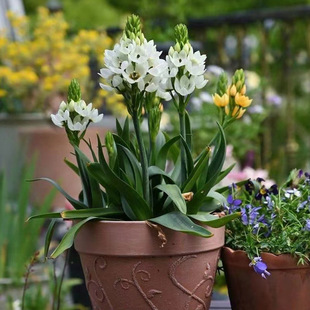 25������F؛ �G�@���_�}�İٺϷN�� �M���f���໢�یٶ��������