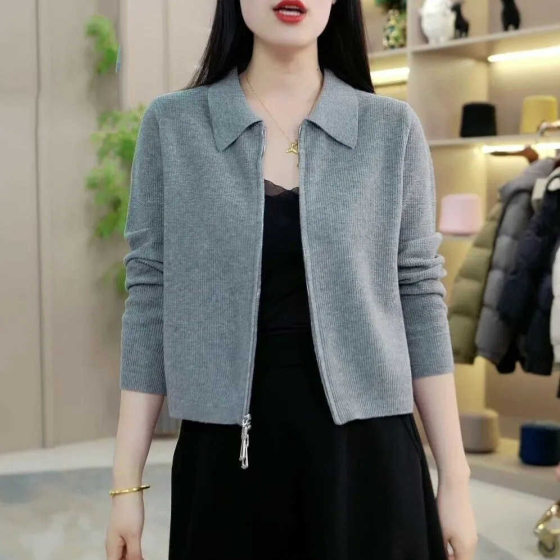 Polo Neck Knitted Cardigan Women's Autumn Short Zipper Sweater Coat Design Niche Loose Top