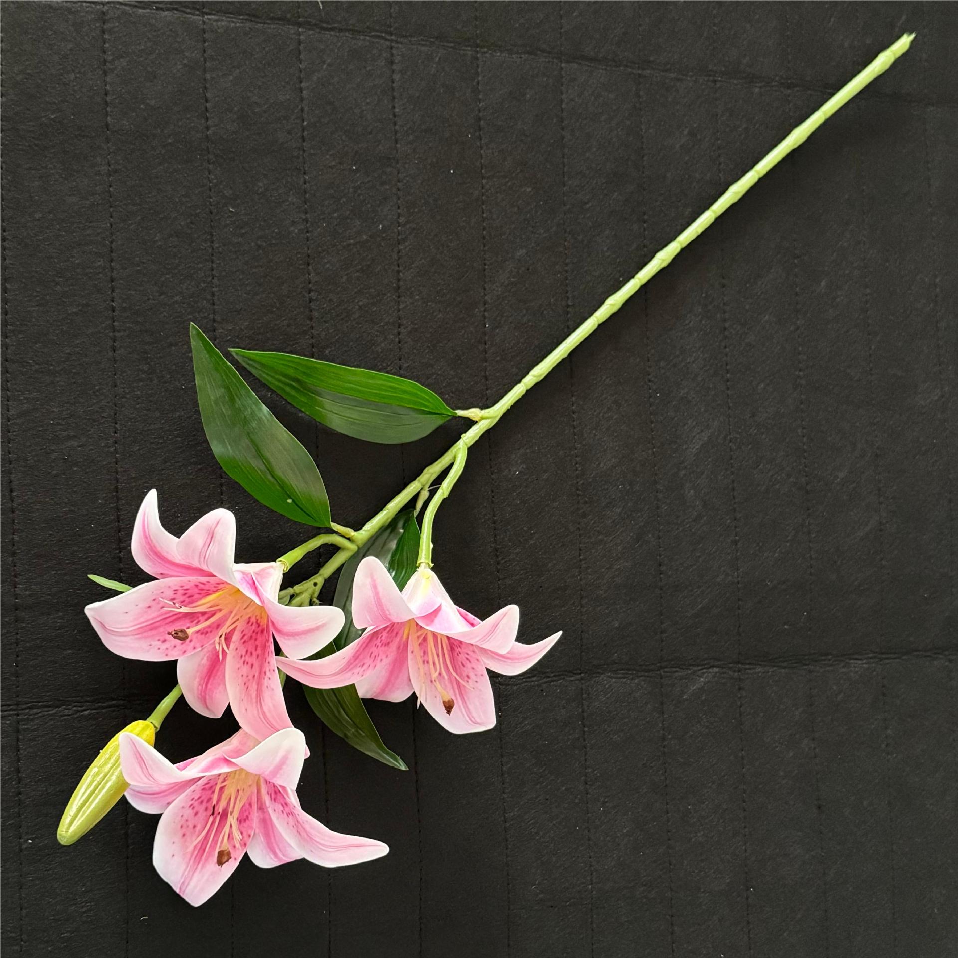 보라색