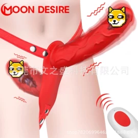 震动棒;飞机杯;震动环/夹