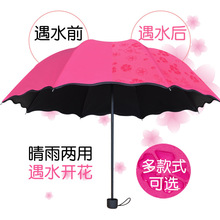 防晒遮阳伞遇水开花折叠防紫外线太阳伞黑胶防紫外线三折叠太阳伞