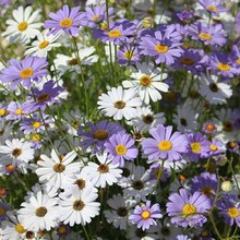 ɫշNӾջN̨҃׷NͥԺ^^ֲﻨN