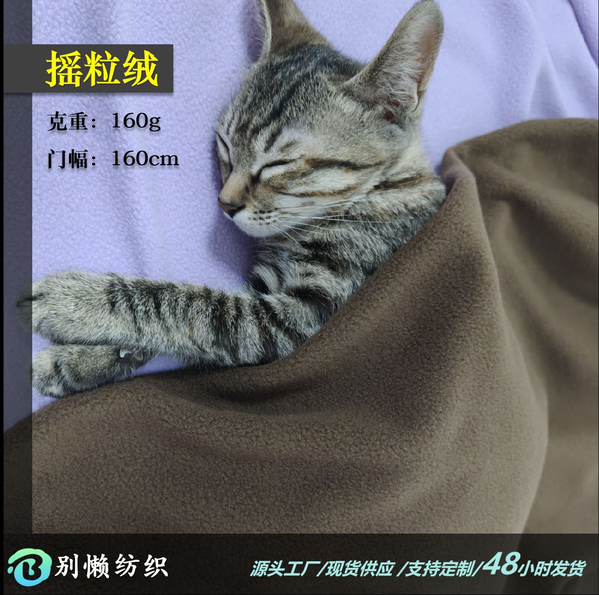 现货全涤摇粒绒单刷单摇绒布秋冬加绒保暖内衣打底衫外套