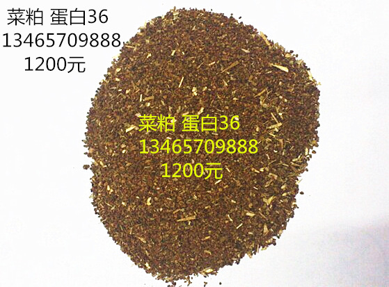 加拿大菜粕 菜籽粕 菜籽饼山东厂家直发 质量稳定蛋白饲料