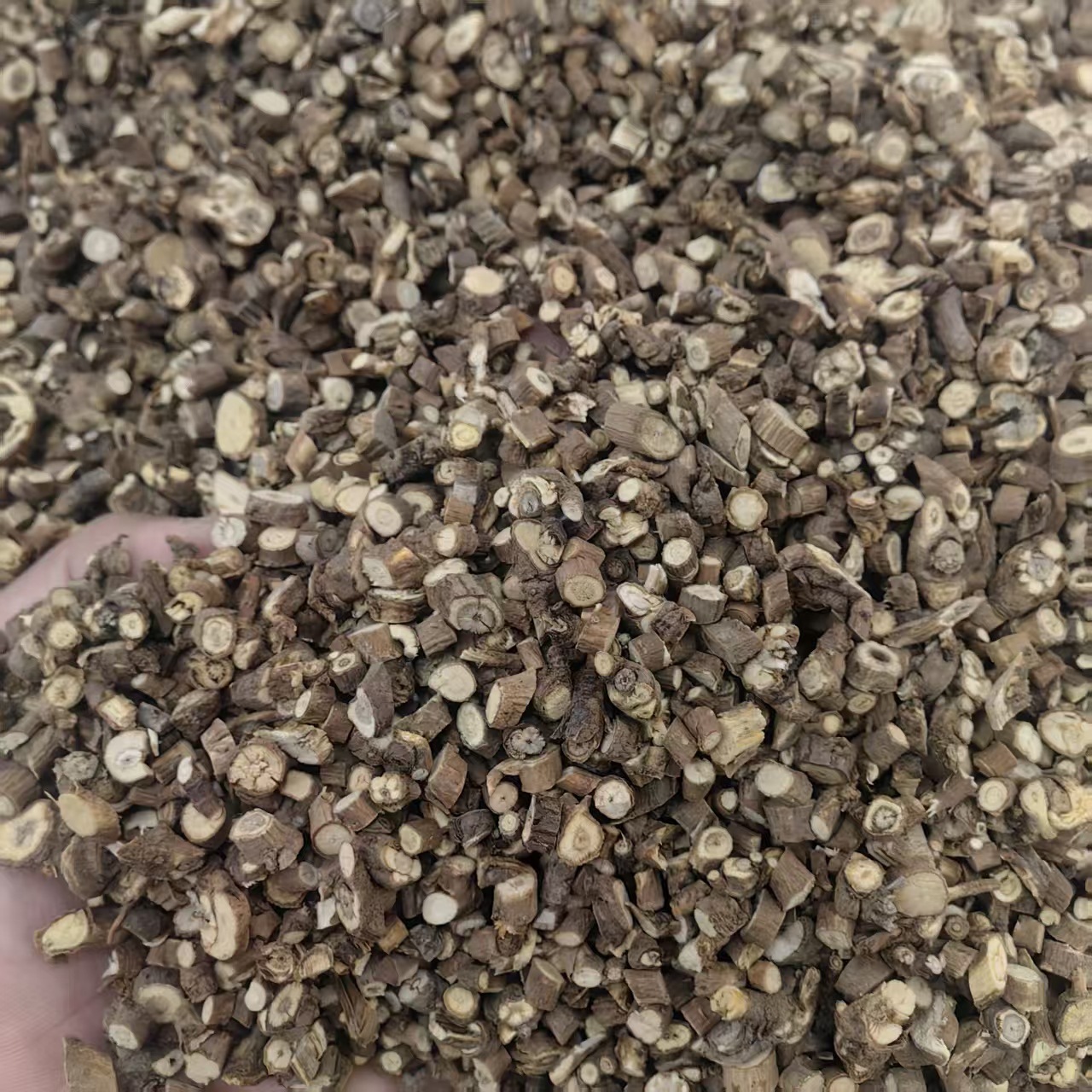 Chai Hu Bupleurum Root Powder 500g North Chaihu Traditional Herbal Powder for Decoction and Tea key features