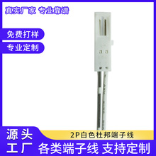 2P��ɫ�Ű���Ӿ� ͥԺ���Ű2.54 ���������Ӿ� �p����B�Ӿ�