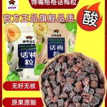 正品馋嘴格格无核话梅粒抖音同款话梅肉果干蜜饯休闲解馋网红零食