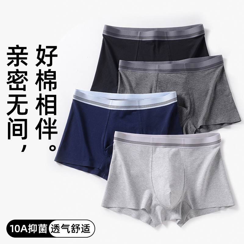 New Men's Underwear Cotton 10A Antibacterial Seamless Boxer Briefs Business Simple Stylish Boxer Shorts for Boys