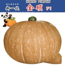 ��T�۱��Ϲ�ؐؐ�Ϲϰ����Ϲϸ߮a�ļ���ͥ�@�������߲˷N�����l