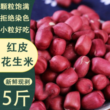 新货中国大陆/云南省/大理白族自治州红皮花生米小颗粒红衣花生仁