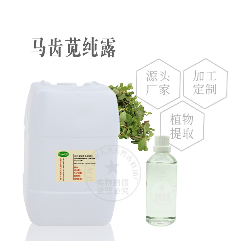 批发马齿苋纯露 提取液 萃取液 化妆品原料 1KG起售