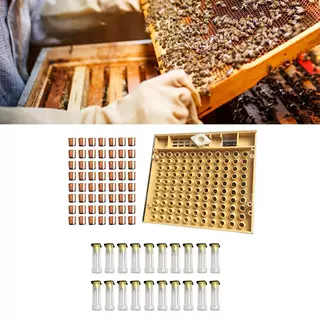 养蜂工具套装蜂王培育盒王台罩褐色王台细胞杯王台保护罩蜂王笼具