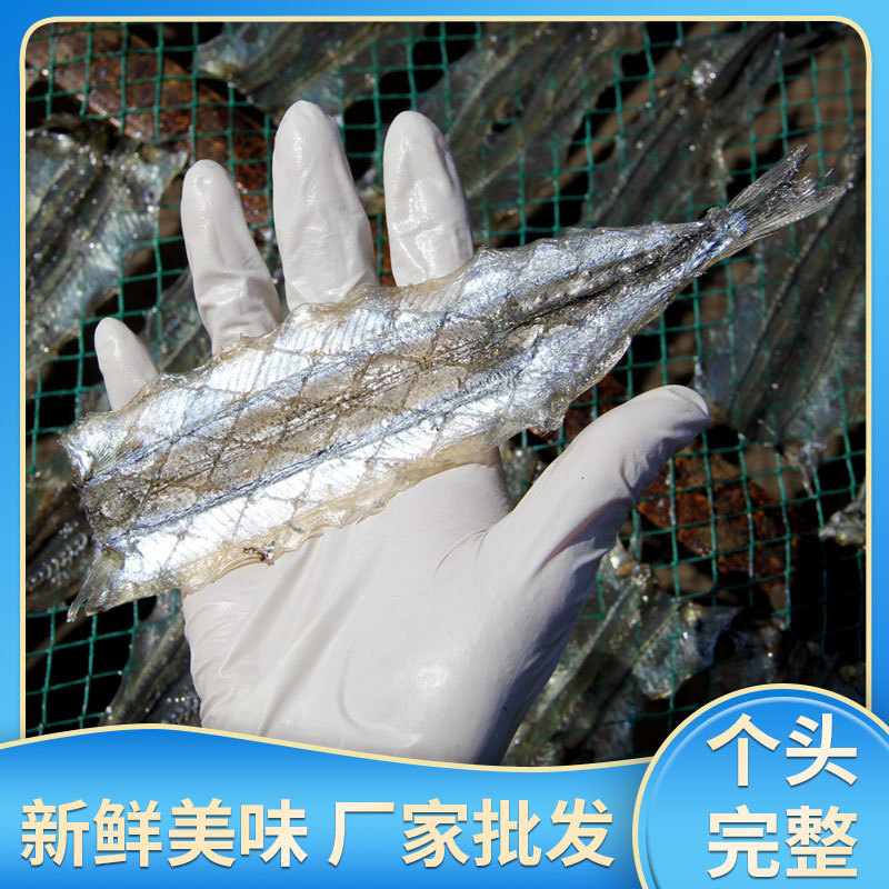 メーカー卸売り海鮮馬歩魚乾燥焼き調味魚片銀針魚乾燥魚魚乾燥魚淡々乾燥馬歩魚|undefined
