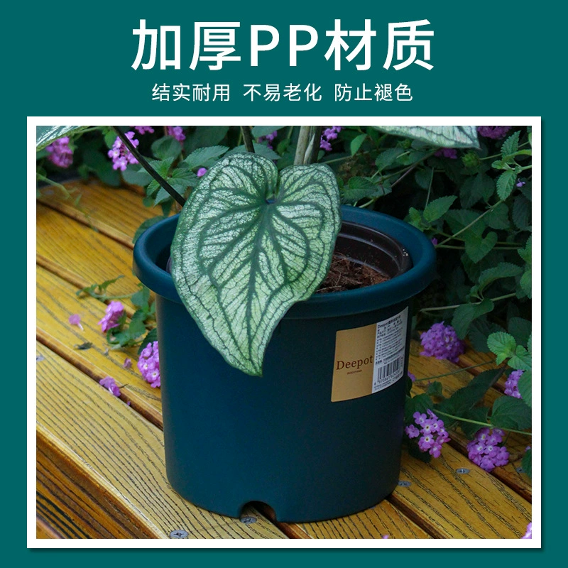 爱丽思 Deepot Nordic Simple Root Root Renolun Pot Rose West Global Green Polytic Plastic Plaster Basin