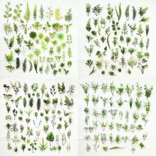 �W�t�޹��~����ˮ�ݲݻ�����Gֲ�b[�P�~�Ӽٲ�С�ٻ�