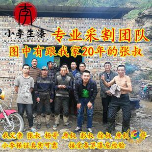 ?��Ȼ���� ���� �� ����ԭ�����r�Ԯa���N С������Ž�