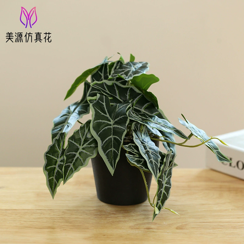 New hanging green plant bonsai manufacturer Plant bonsai Creative Room indoor small ornaments Amazon green plant