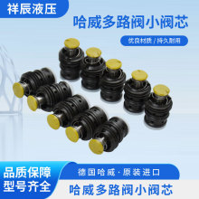 哈威多路阀小阀芯泵车臂架多路阀小减压阀臂架换向阀阀芯祥辰液压