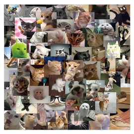 99张抽象猫咪贴纸神经大条搞怪小猫猫趣味图片DIY行李箱防水贴画