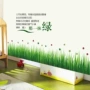过道客厅-ay768绿色瓢虫