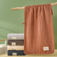 珊瑚絨毛巾 家用洗臉毛巾加厚吸水速乾麵巾廠家毛巾批發免費LOGO