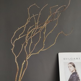 �����z֦��֦С����֦ ����؛Դ�F�����s�ҾӘӰ��g��c�廨���