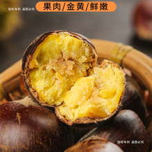 新鲜丹东板栗生栗子大果鲜嫩生毛粟子当季现摘带壳丹东锥栗仁包邮