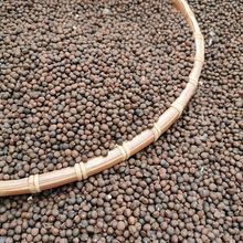 ĦȻľӲi׵oi^о녽qޮaI