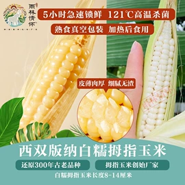 玉米