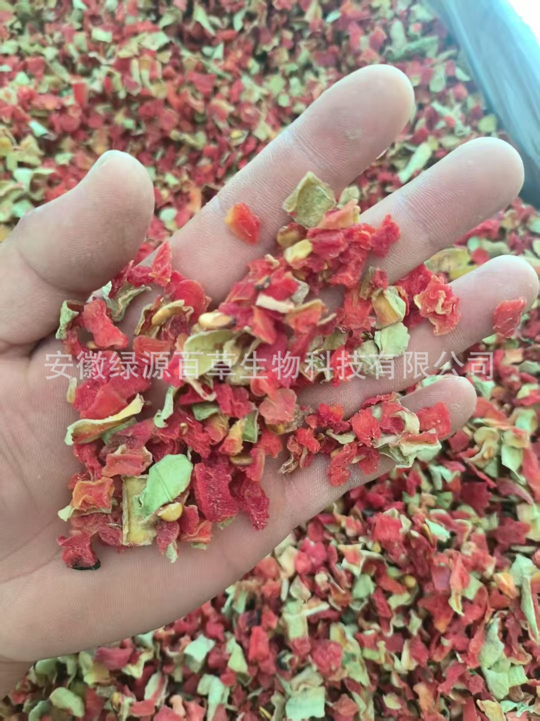 Peeled watermelon cubes 500g