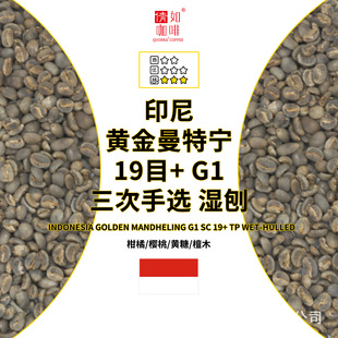 ӡ�� �S�����،� 19Ŀ+ G1 �������x ����