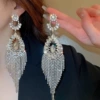 Shiny earrings, style