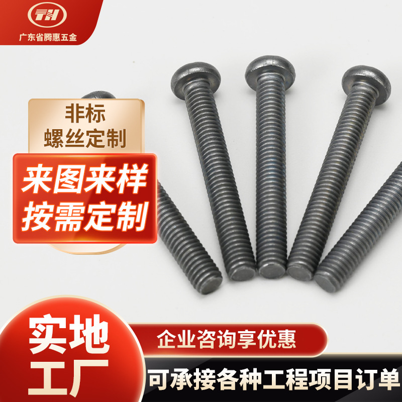 工厂非标螺丝梅花圆头自攻丝304不锈钢高强螺栓镀锌镀镍螺钉螺柱