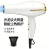 外贸110V两圆插吹风机白色