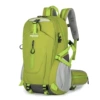 Fluorescent green