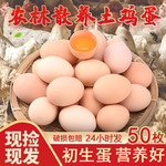 50枚散养土鸡蛋新鲜农村林下笨鸡蛋自养草鸡蛋生鸡蛋柴鸡蛋整箱