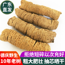 ����Ӷ���ţ������������Ұ���Ҝ��в�ș�ݾ�ș��5g���͑�