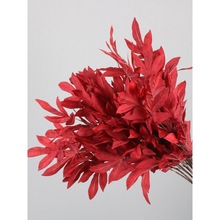 �S��ֱ�N��c�tɫϵ�л��Ľ����������û�Y�õ��·�����廨