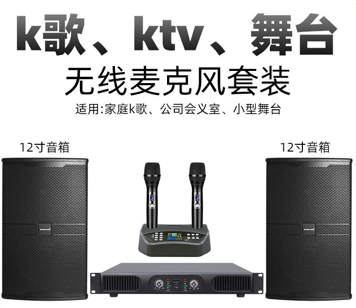 Wholesale Home Ktv Performance Conference Dedicated Microphone Speaker Amplifier Set Stage Karaoke Home Singing Entertainment