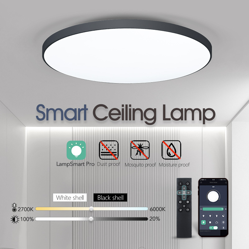 LED ceiling light for living room