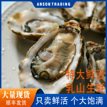 ���rˮ�a�r��������rĵϠ10���ش�ʳ��Ϡ�ӻ������l