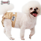 Штаны мальчика Тедди Золотые Мерид Брюки Держится собака Слугиваленные барабаны с диабен