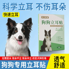 犬の耳立て専用アーティファクト、耳立て器、子犬耳立てパッチ、子犬補助耳立て器、耳矯正器