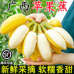 �V����Ȼ���ش���㽶�ﮔ��С�׽����rˮ���������l