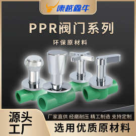 PPR阀门截止阀快开暗阀双活接铜球阀PPR闸阀开关自来水管配件批发
