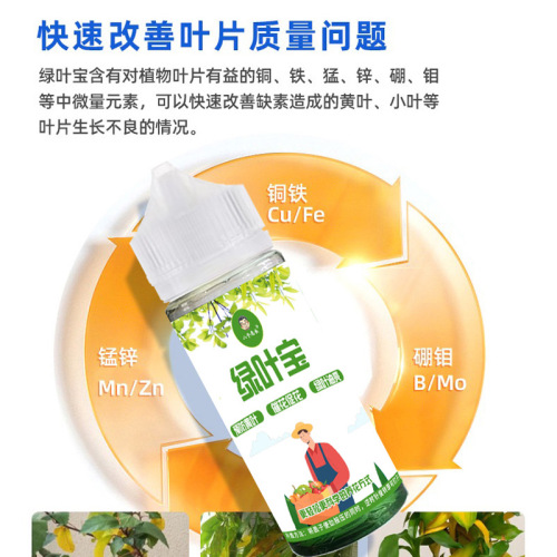 The manufacturer supplies eight old man Green Leaf Treasure plant universal nutritional liquid chlorophyll green plant foliar fertilizer