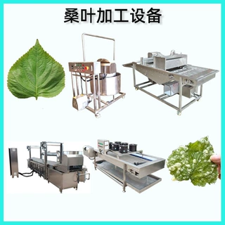 紫苏叶上浆油炸机 天妇罗加工设备 桑叶全自动油炸流水线自动上浆